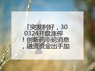 突发利好，300324开盘涨停！创新药重磅消息，融资资金出手加仓股揭晓