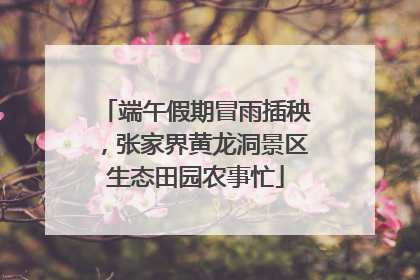 端午假期冒雨插秧，张家界黄龙洞景区生态田园农事忙