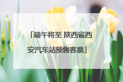 端午将至 陕西省西安汽车站预售客票