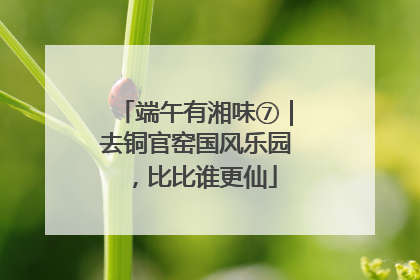 端午有湘味⑦｜去铜官窑国风乐园，比比谁更仙