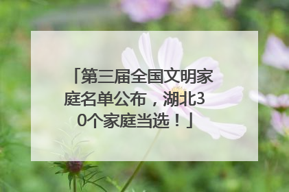 第三届全国文明家庭名单公布，湖北30个家庭当选！