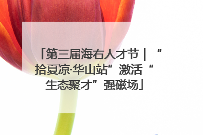 第三届海右人才节｜“拾夏凉·华山站”激活“生态聚才”强磁场