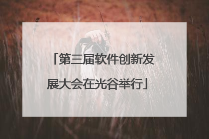 第三届软件创新发展大会在光谷举行