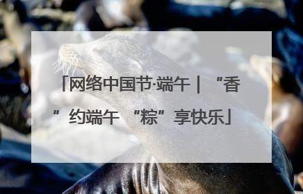 网络中国节·端午｜“香”约端午 “粽”享快乐