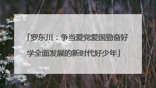 罗东川：争当爱党爱国勤奋好学全面发展的新时代好少年