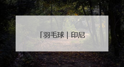 羽毛球｜印尼公开赛：王正行男单首轮晋级
