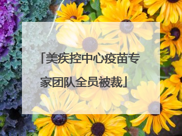 美疾控中心疫苗专家团队全员被裁