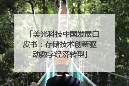 美光科技中国发展白皮书：存储技术创新驱动数字经济转型