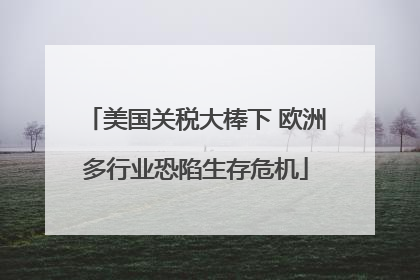 美国关税大棒下 欧洲多行业恐陷生存危机