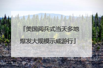 美国阅兵式当天多地爆发大规模示威游行