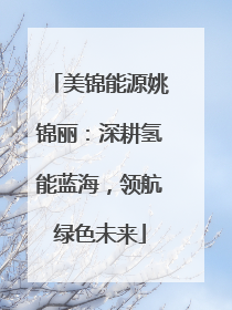 美锦能源姚锦丽：深耕氢能蓝海，领航绿色未来