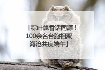 粽叶飘香话同源！100余名台胞相聚海沧共度端午