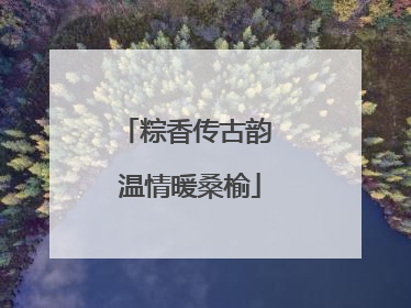 粽香传古韵 温情暖桑榆
