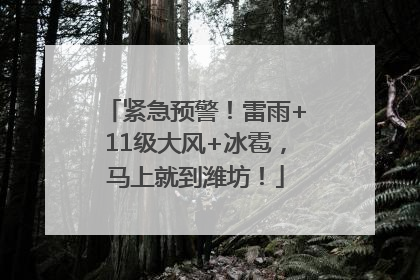 紧急预警！雷雨+11级大风+冰雹，马上就到潍坊！