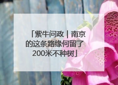 紫牛问政｜南京的这条路缘何留了200米不种树