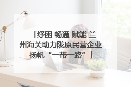 纾困 畅通 赋能 兰州海关助力陇原民营企业扬帆“一带一路”