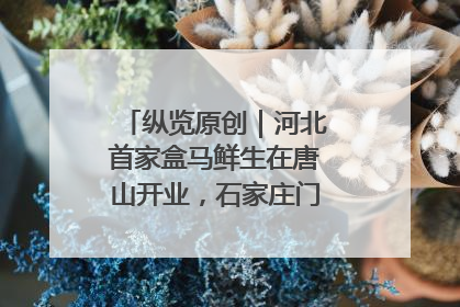 纵览原创｜河北首家盒马鲜生在唐山开业，石家庄门店预计8月开业