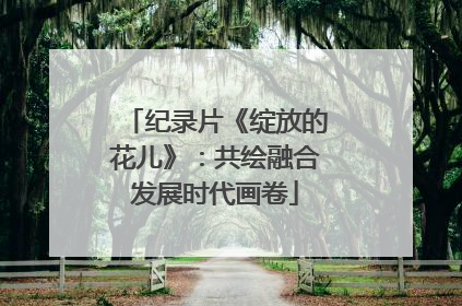 纪录片《绽放的花儿》：共绘融合发展时代画卷