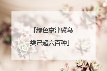 绿色京津冀鸟类已超六百种