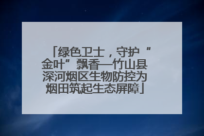 绿色卫士，守护“金叶”飘香—竹山县深河烟区生物防控为烟田筑起生态屏障