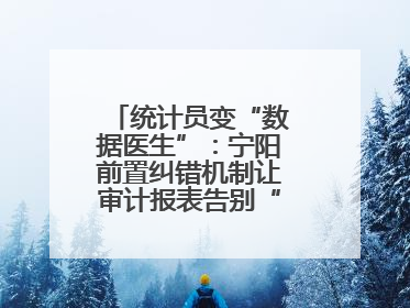 统计员变“数据医生”：宁阳前置纠错机制让审计报表告别“带病上岗”
