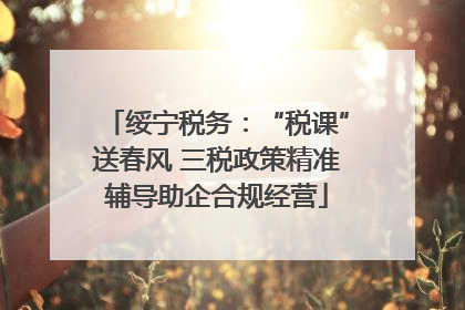 绥宁税务：“税课”送春风 三税政策精准辅导助企合规经营