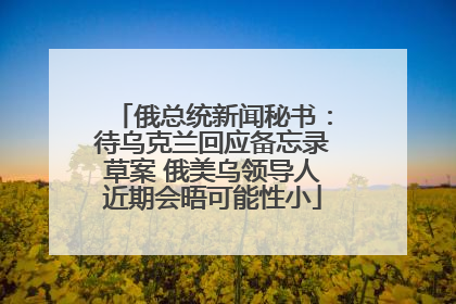 俄总统新闻秘书：待乌克兰回应备忘录草案 俄美乌领导人近期会晤可能性小
