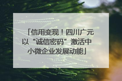 信用变现！四川广元以“诚信密码”激活中小微企业发展动能