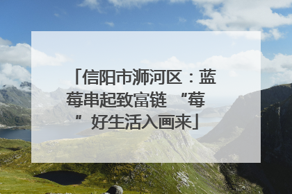 信阳市浉河区：蓝莓串起致富链 “莓”好生活入画来
