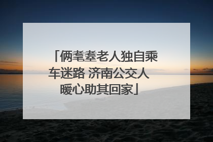 俩耄耋老人独自乘车迷路 济南公交人暖心助其回家