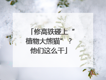 修高铁碰上“植物大熊猫”?他们这么干