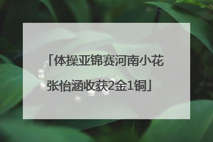 体操亚锦赛河南小花张怡涵收获2金1铜