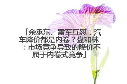 余承东、雷军互怼，汽车降价都是内卷？盘和林：市场竞争导致的降价不属于内卷式竞争