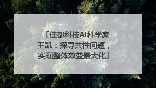 佳都科技AI科学家王凯：探寻共性问题，实现整体效益最大化