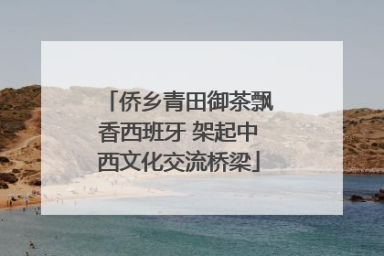 侨乡青田御茶飘香西班牙 架起中西文化交流桥梁