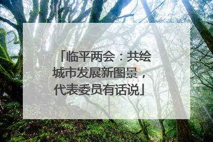 临平两会：共绘城市发展新图景，代表委员有话说