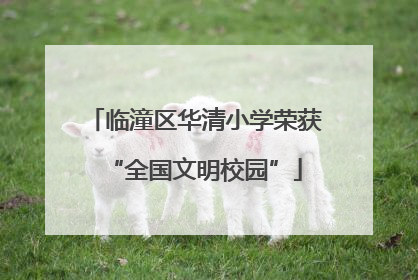 临潼区华清小学荣获“全国文明校园”
