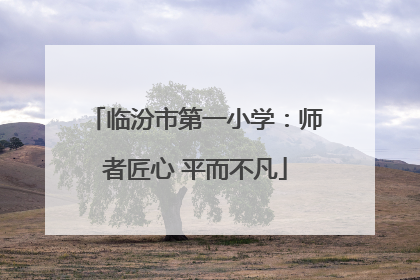 临汾市第一小学：师者匠心 平而不凡