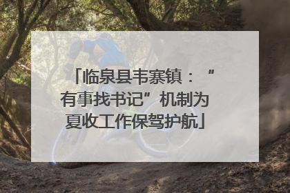 临泉县韦寨镇：“有事找书记”机制为夏收工作保驾护航