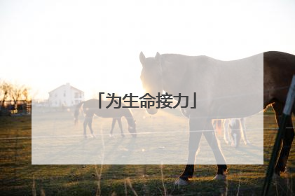 为生命接力