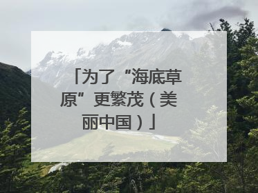 为了“海底草原”更繁茂（美丽中国）