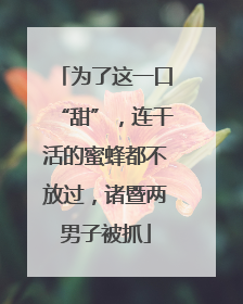 为了这一口“甜”，连干活的蜜蜂都不放过，诸暨两男子被抓