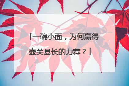 一碗小面，为何赢得壶关县长的力荐？