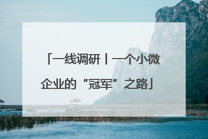 一线调研丨一个小微企业的“冠军”之路