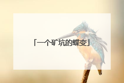 一个矿坑的蝶变