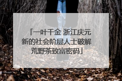 一叶千金 浙江庆元新的社会阶层人士破解荒野茶致富密码