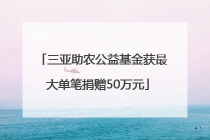 三亚助农公益基金获最大单笔捐赠50万元