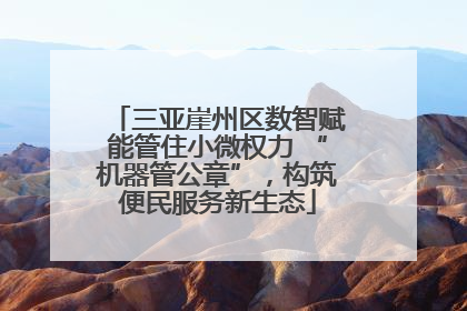 三亚崖州区数智赋能管住小微权力 “机器管公章”，构筑便民服务新生态