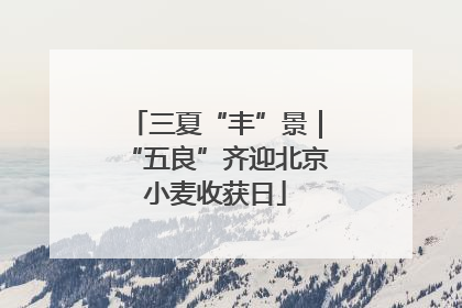 三夏“丰”景｜“五良”齐迎北京小麦收获日