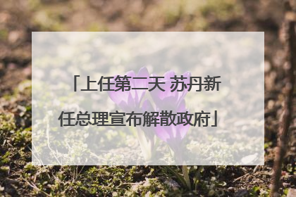 上任第二天 苏丹新任总理宣布解散政府